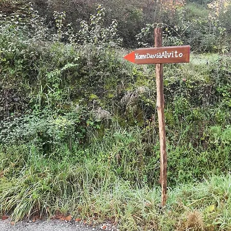 Chalet Homedavidalvito