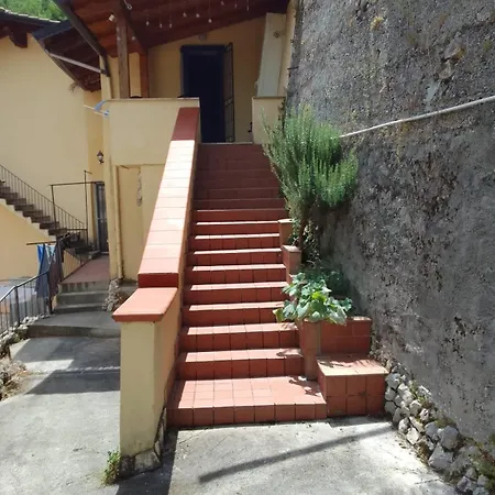Homedavidalvito * Alvito